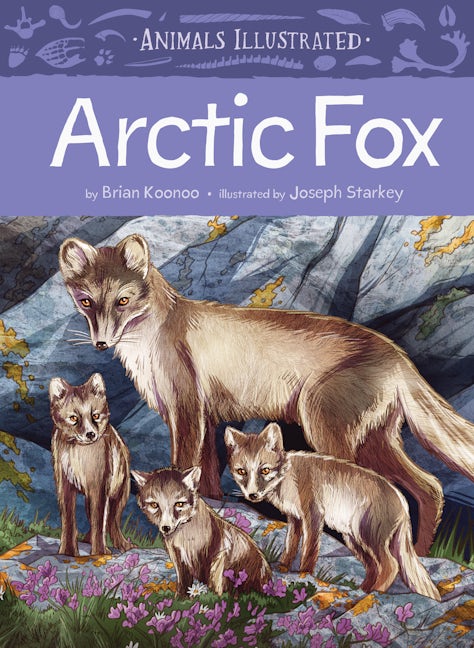 Book cover image for Animals Illustrated: Arctic Fox ISBN: 9781772274851